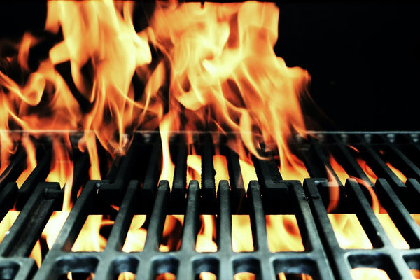 7 simple ways to keep bugs away from your BBQ.
