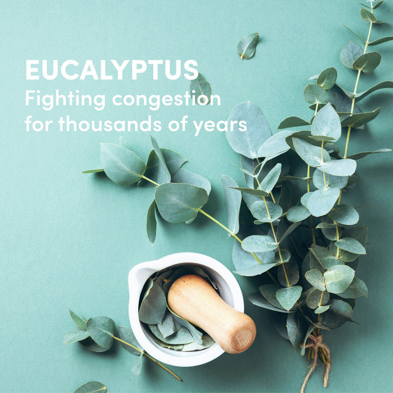 Eucalyptus has been fighting congestion for thousands of years.